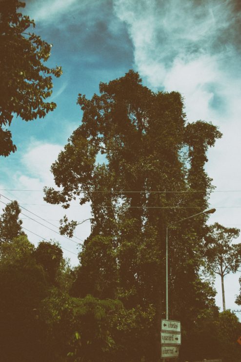 UBON RATCHATHANI & SISAKET