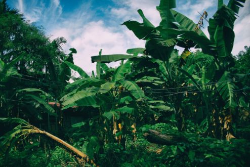 UBON RATCHATHANI & SISAKET