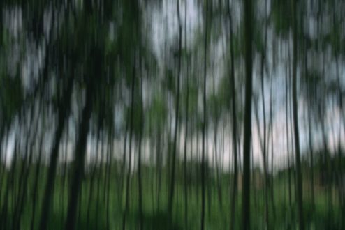 UBON RATCHATHANI & SISAKET