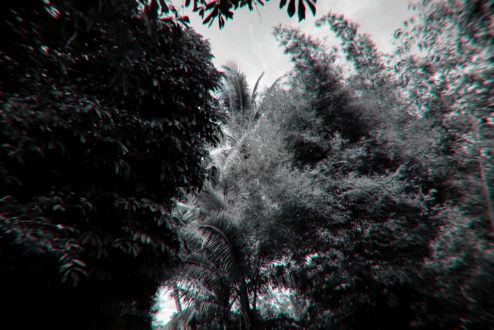 UBON RATCHATHANI & SISAKET