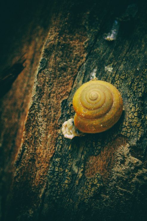 Ubon Ratchathani & Sisaket