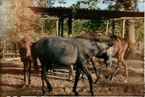 Ubon Ratchathani & Sisaket