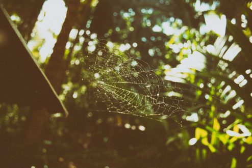 Ubon Ratchathani & Sisaket