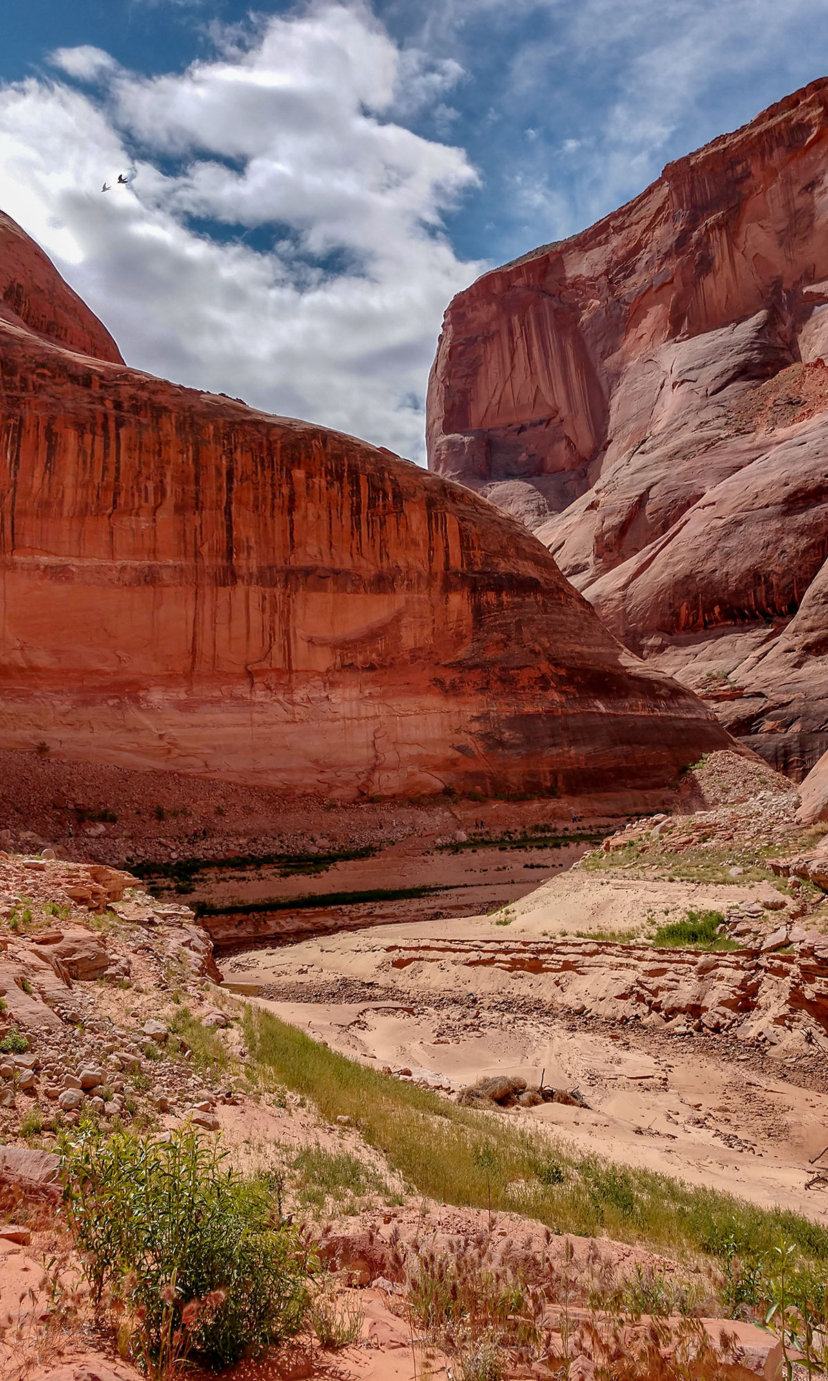 Rainbow Bridge National Monument