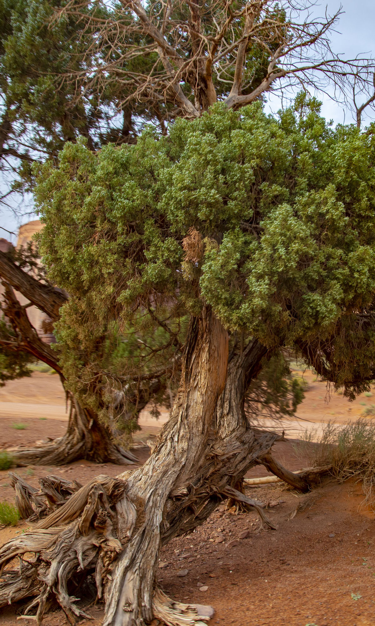 Monument Valley Tribal Park, Arizona