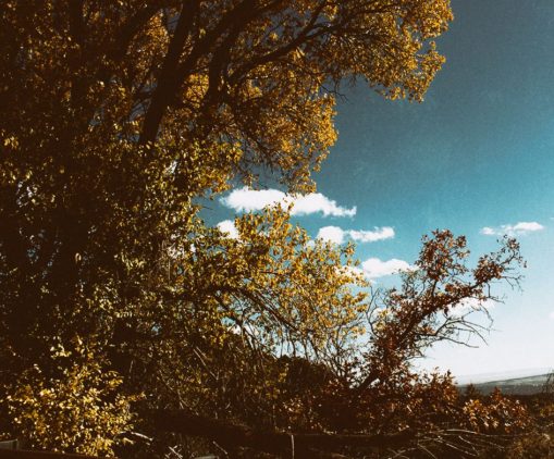 Photography of Sandia Crest