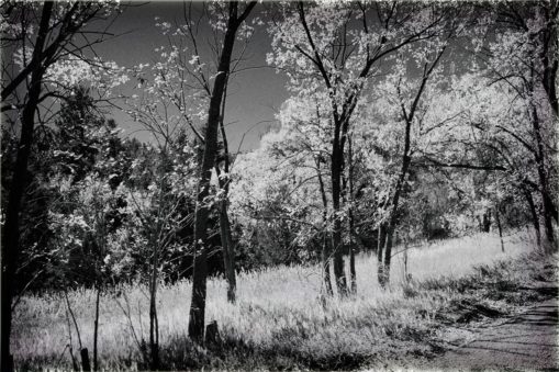 Photography of Sandia Crest